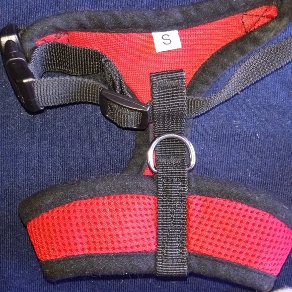 Christmas Doggie Bundle - Picture 3 of 7